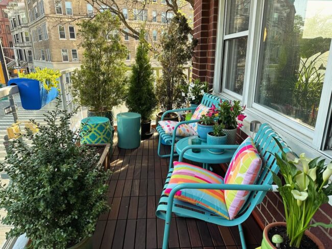 Colorful Comfort in Cozy Urban Settings