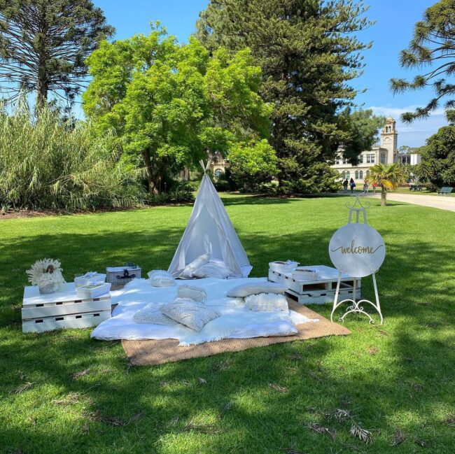 Ideal Outdoor Picnic Setup