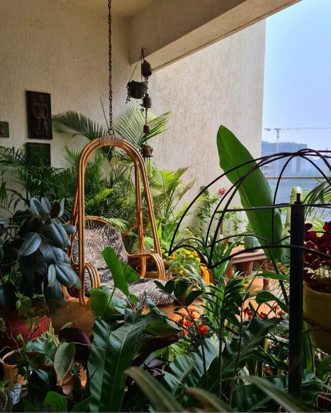 Zen Corner for Tranquil Moments