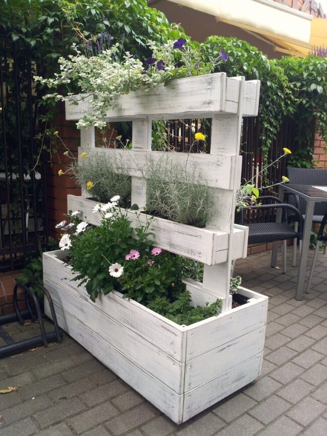 Vertical Garden Planter Display