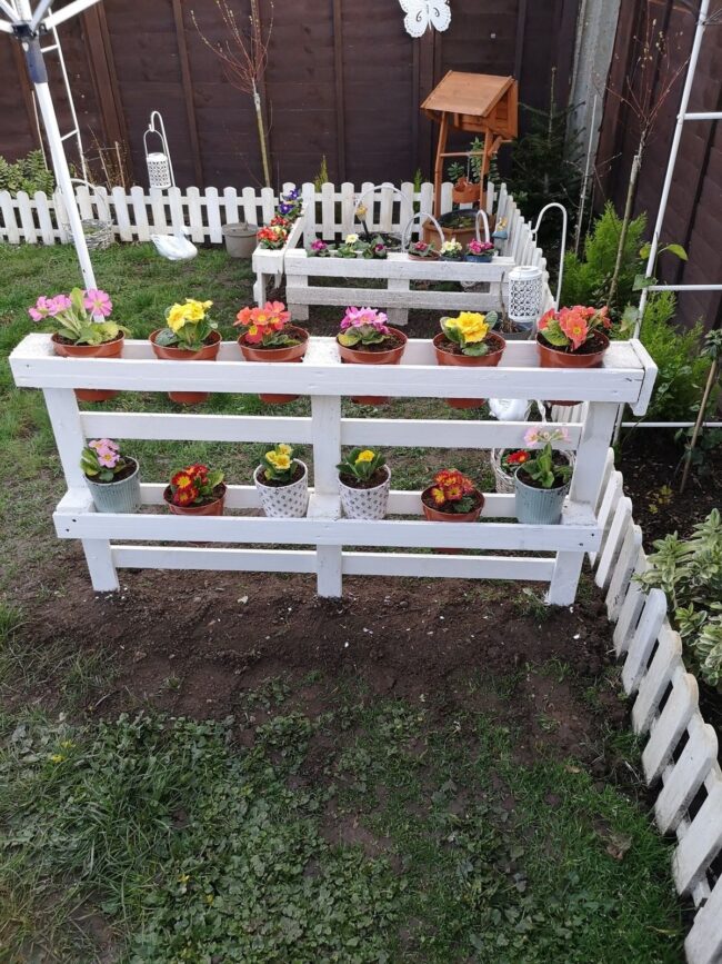Colorful Floral Showcase